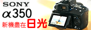 日光