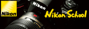 2008 Nikon